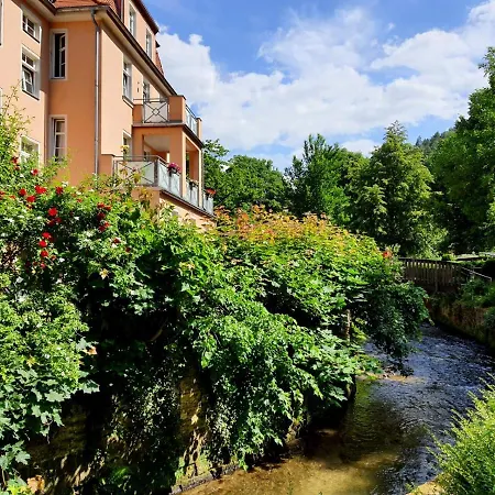 Arthouse Am Kurpark Apartment *