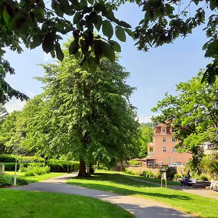 Arthouse Am Kurpark Apartment