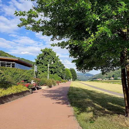 Arthouse Am Kurpark Apartment Bad Schandau