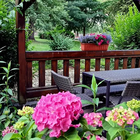 Apartment Arthouse Am Kurpark